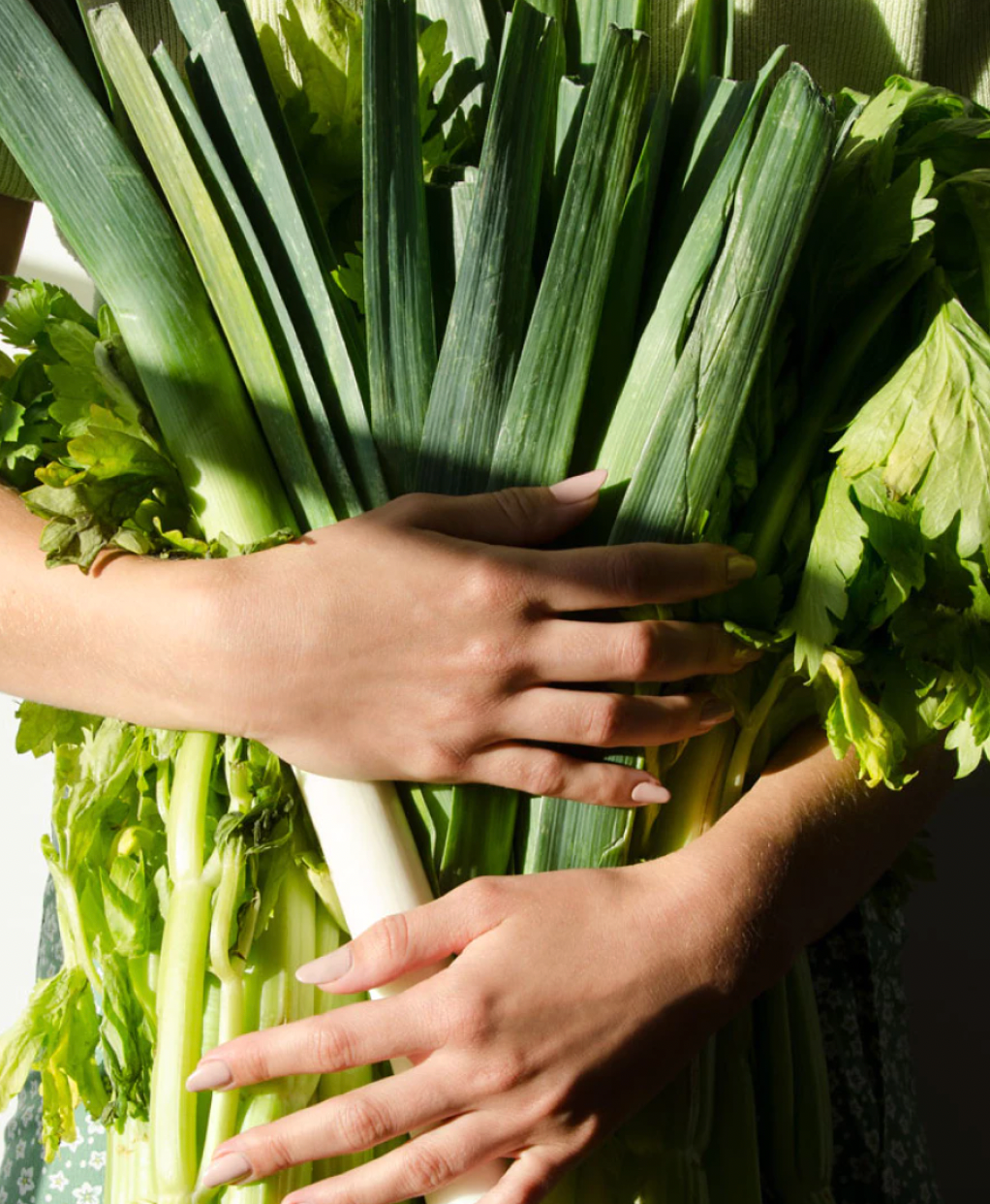 NOURRIR SON MICROBIOTE GRÂCE À LA FERMENTATION