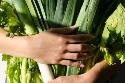 NOURRIR SON MICROBIOTE GRÂCE À LA FERMENTATION