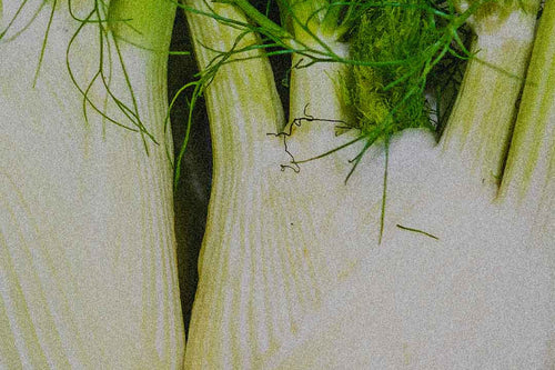 SUPERFOOD :  NOTRE TOP 5