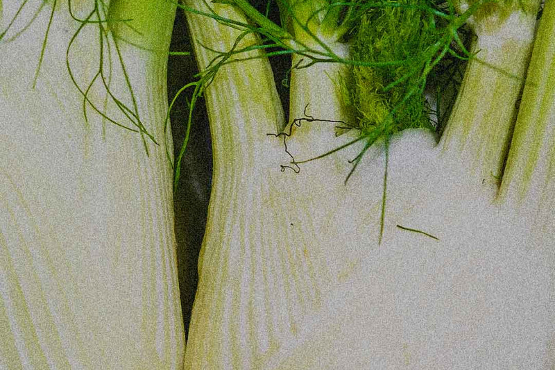 SUPERFOOD :  NOTRE TOP 5