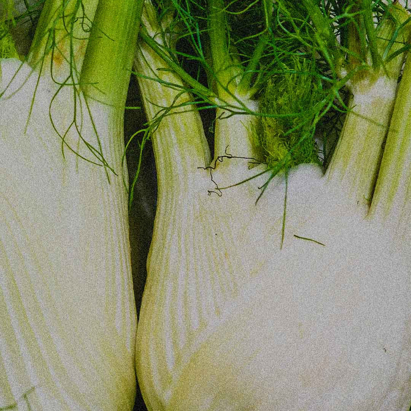 SUPERFOOD :  NOTRE TOP 5