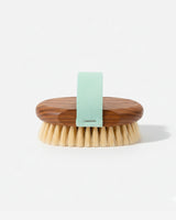 BEAUTY TOOL... BODY MASSAGE BRUSH